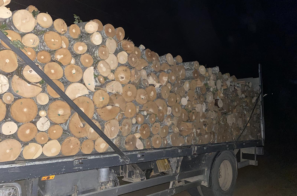 Cinco agentes de policía y tres funcionarios de la policía forestal de Macedonia del Norte fueron atacados cuando intentaban impedir actividades de tala ilegal. Cortesía de la Aduana de Macedonia del Norte